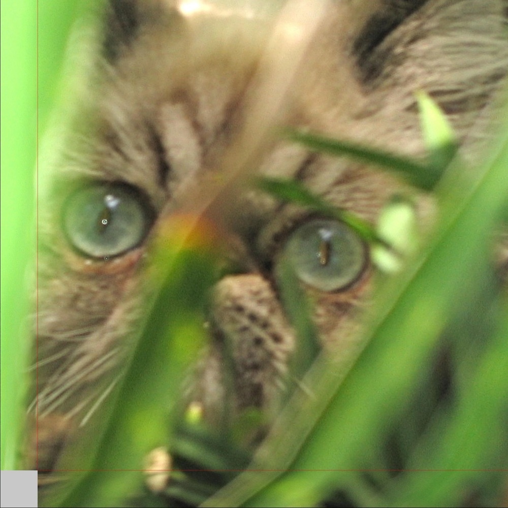 Meet your Posher, Zoe kind of life 💫